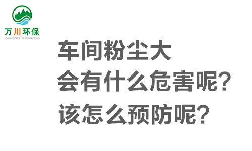 車間粉塵大會(huì)有什么危害呢？該怎么預(yù)防呢？
